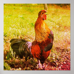 Rooster Crowing Farm Animal Abstract Poster
