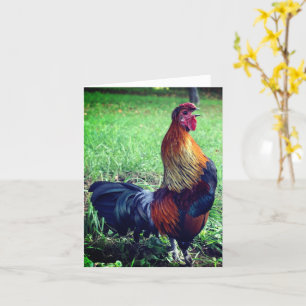 Rooster Crowing Farm Animal Note Card