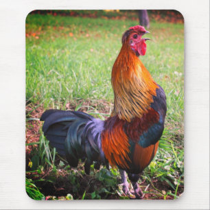 Rooster Crowing Nature Mouse Pad