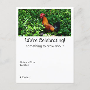 Rooster Crowing Postcard