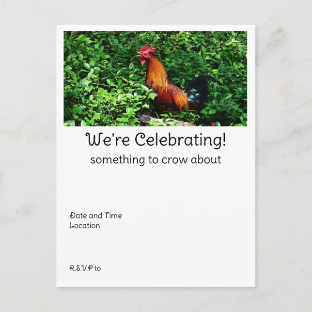 Rooster Crowing  Postcard (Front)