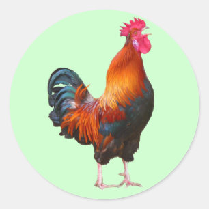 Rooster Crowing Stickers