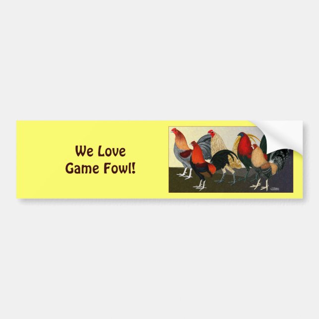 Rooster Dream Team Bumper Sticker (Front)