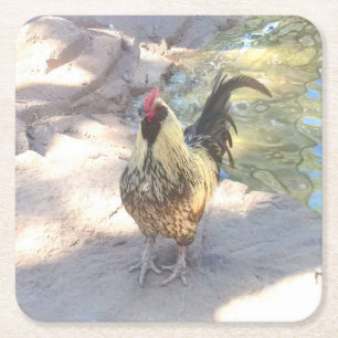 Rooster Drink Coasters