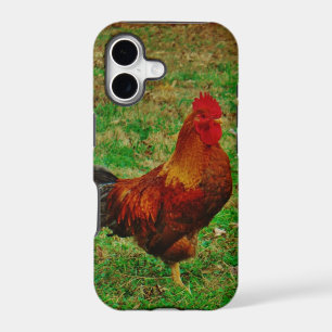 Rooster Facing right