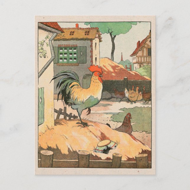 Rooster Farm Yard Postcard (Front)