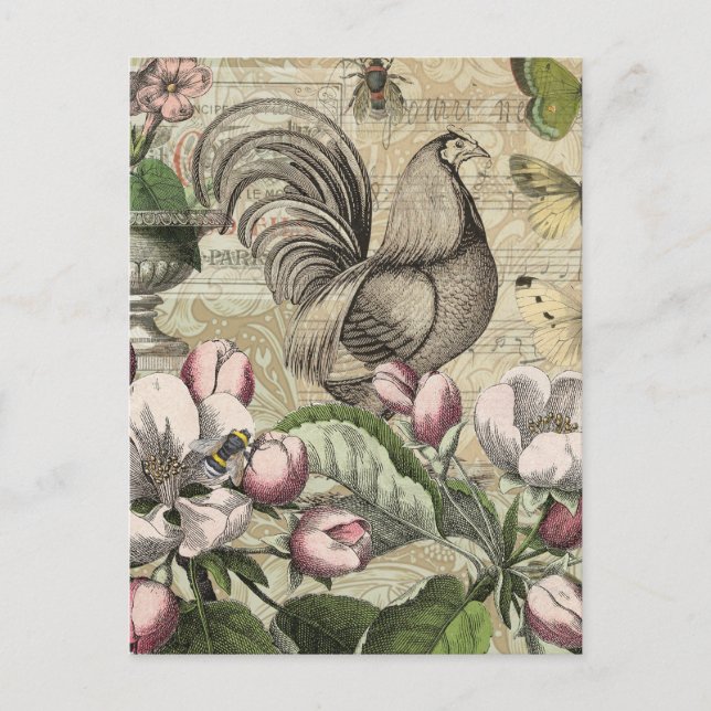 Rooster Garden Flower Butterfly Art Postcard (Front)