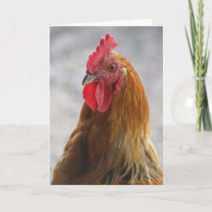 Rooster Greeting Card