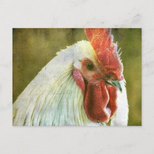 Rooster Grunge Postcard