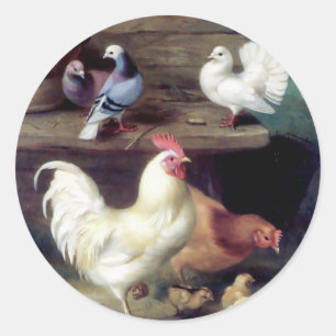 Rooster Hen Chicken Doves Classic Round Sticker