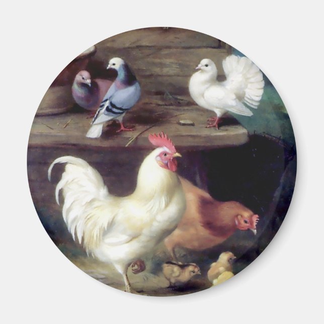 Rooster Hen Chicken Doves Magnet (Front)