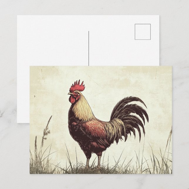 Rooster Illustration Vintage Tone Postcard (Front/Back)