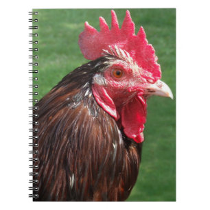 Rooster Journal