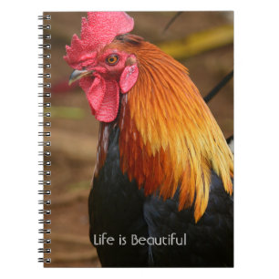 Rooster Kauai (my photography) Notebook