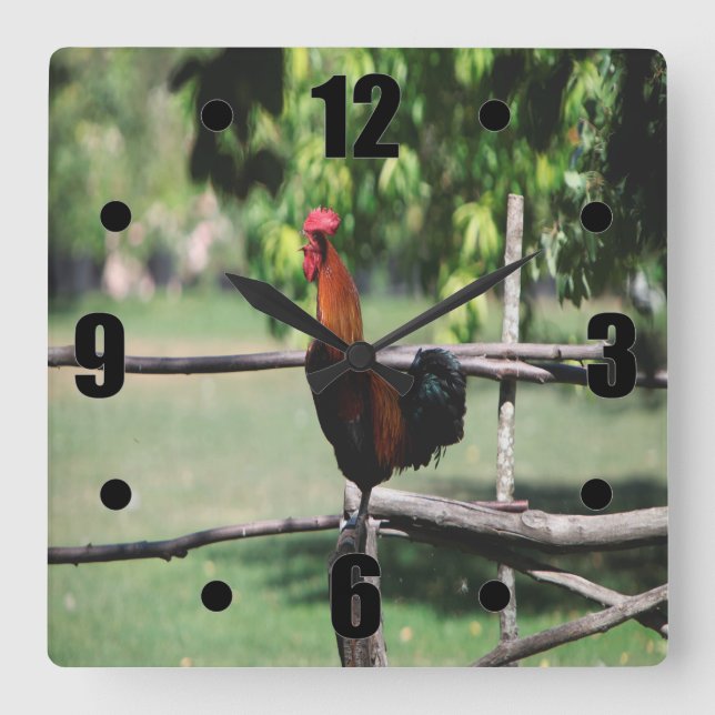 Rooster Morning Square Wall Clock (Front)