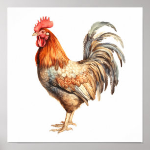 Rooster Neutral Colors Watercolor Painting  Poster