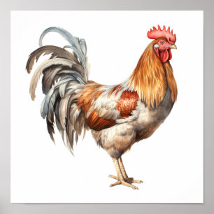 Rooster Neutral Colours Watercolor Painting  Poster