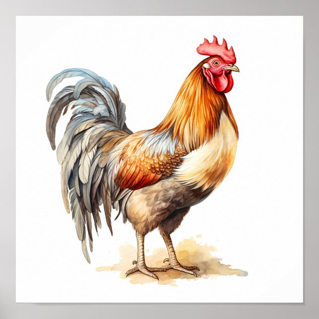 Rooster Neutral Colours Watercolor Painting  Poster (Front)