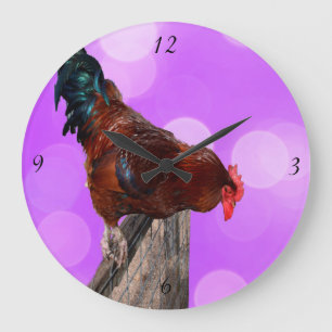 Rooster Nosy Parker, Pink Large Wall Clock. Large Clock