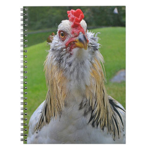 Rooster Notebook
