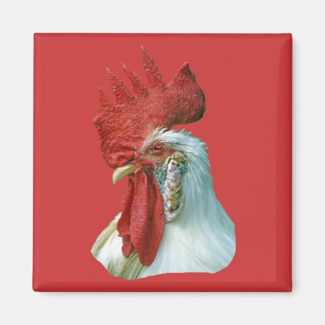 Rooster Picture Magnet (Front)