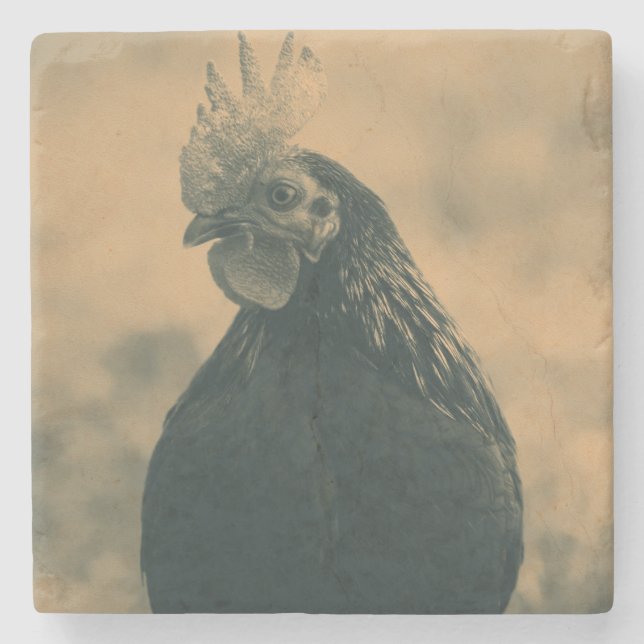 Rooster Portrait Stone Coaster (Front)