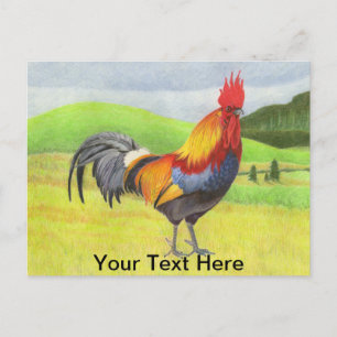 Rooster Postcard