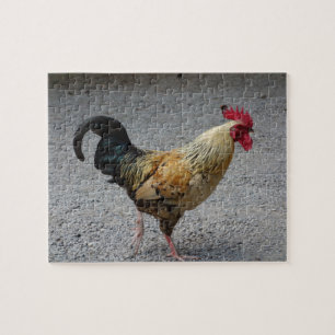 Rooster Puzzle