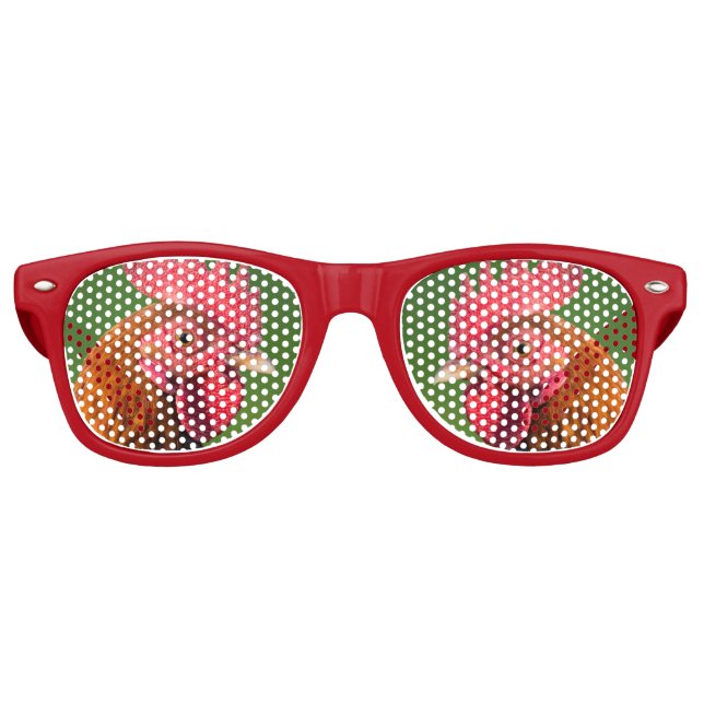 Rooster Retro Sunglasses (Front)