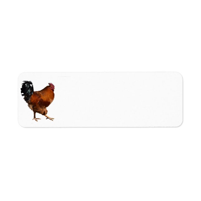 Rooster Return Address Label (Front)