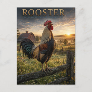 Rooster Rural Farmstead ANIMALS Postcard