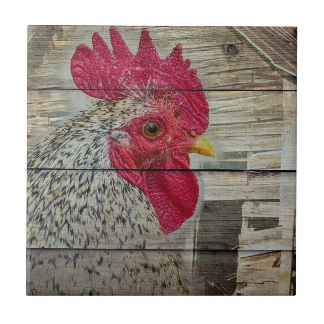 Rooster Rustic Chicken Coop Barn Board Tile (Front)