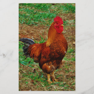 Rooster Stationery