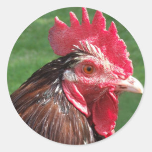 Rooster Stickers