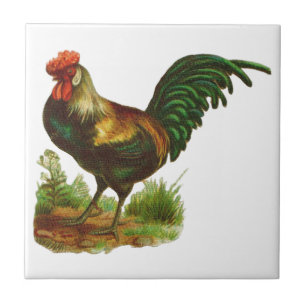 Rooster Tile