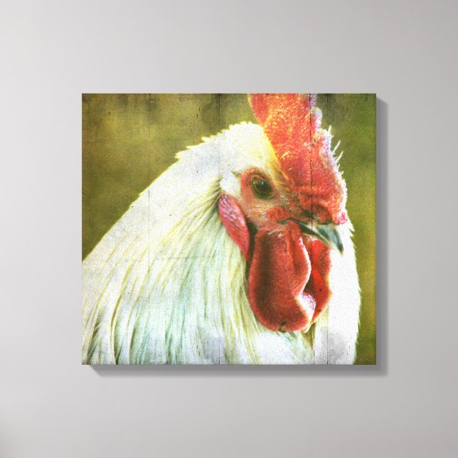 Rooster Vintage Grunge Canvas Print (Front)