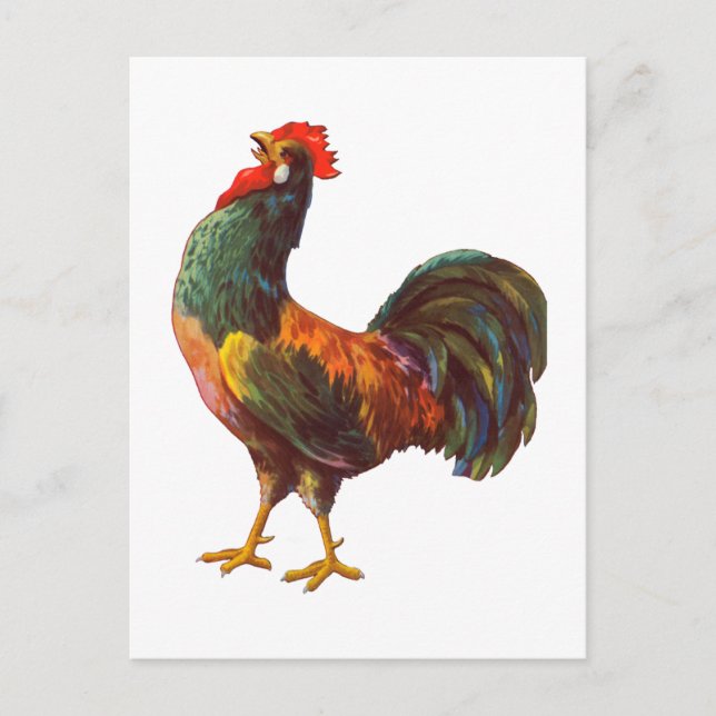 Rooster Vintage Kitchen Crate Art Postcards (Front)