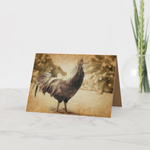 Rooster Vintage Photo Card