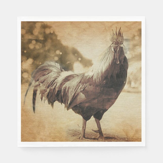 Rooster Vintage Photo Napkin (Front)