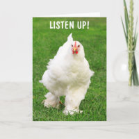 Rooster With An Attitude Get Well