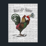 Rooster With Loudhailer 2 Postcard<br><div class="desc">Animals & Nature</div>