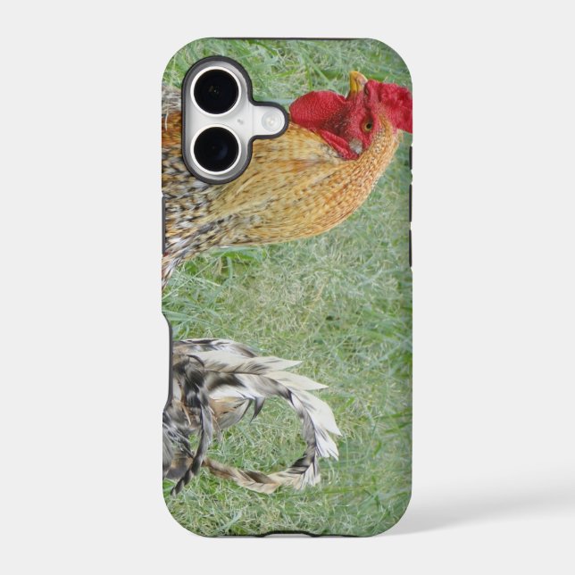 Roosters (Back)