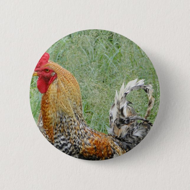Roosters 6 Cm Round Badge (Front)