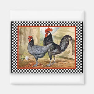 Roosters being Proud Magnet