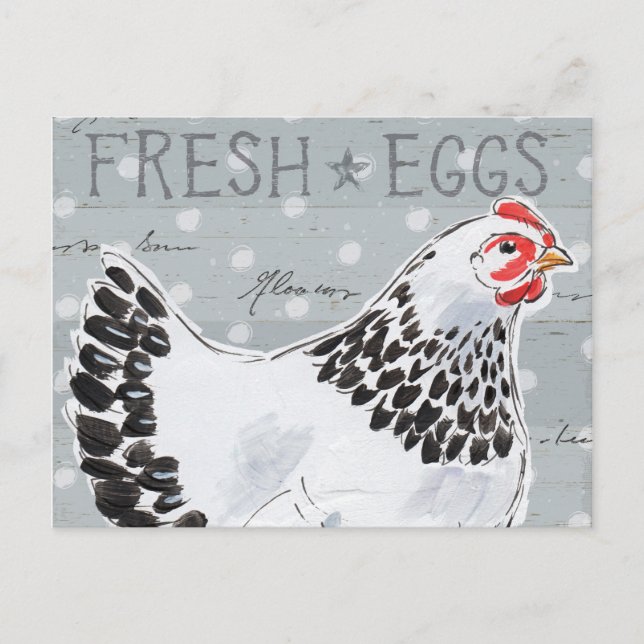 Roosters Call II Postcard (Front)