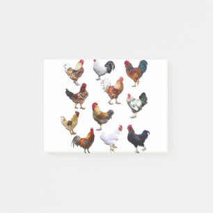 Roosters collage color chicken post-it notes