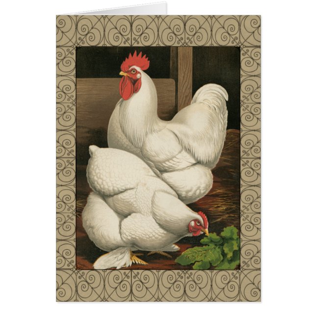 Roosters & Hen outside Hen House with White Border (Front)