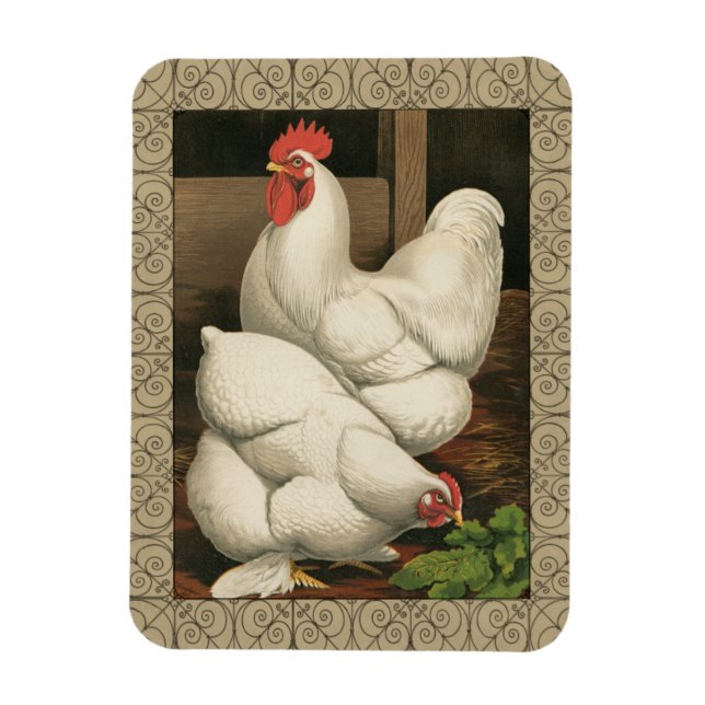 Roosters & Hen outside Hen House with White Border Magnet (Vertical)
