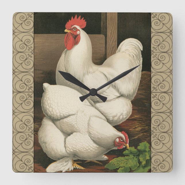 Roosters & Hen outside Hen House with White Border Square Wall Clock (Front)