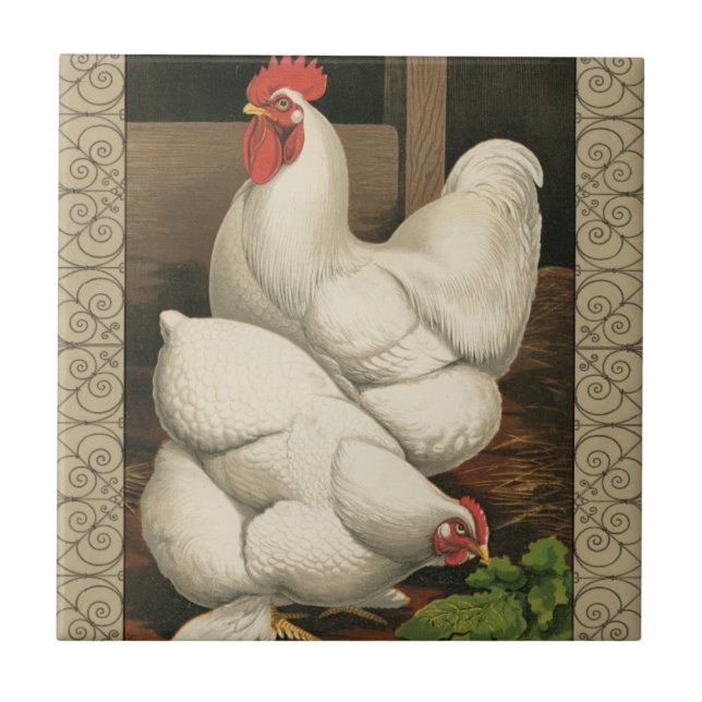 Roosters & Hen outside Hen House with White Border Tile (Front)